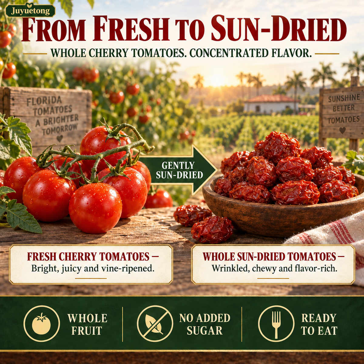 🔥 Premium Sun-Dried Cherry Tomatoes — 🍅 A Soft, Ruby-Red Fruit Snack for Active Everyday Living-Johnny