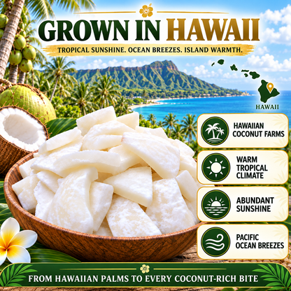 Premium Coconut Wedges – Sweet, Chewy & Ready to Eat-Tobi