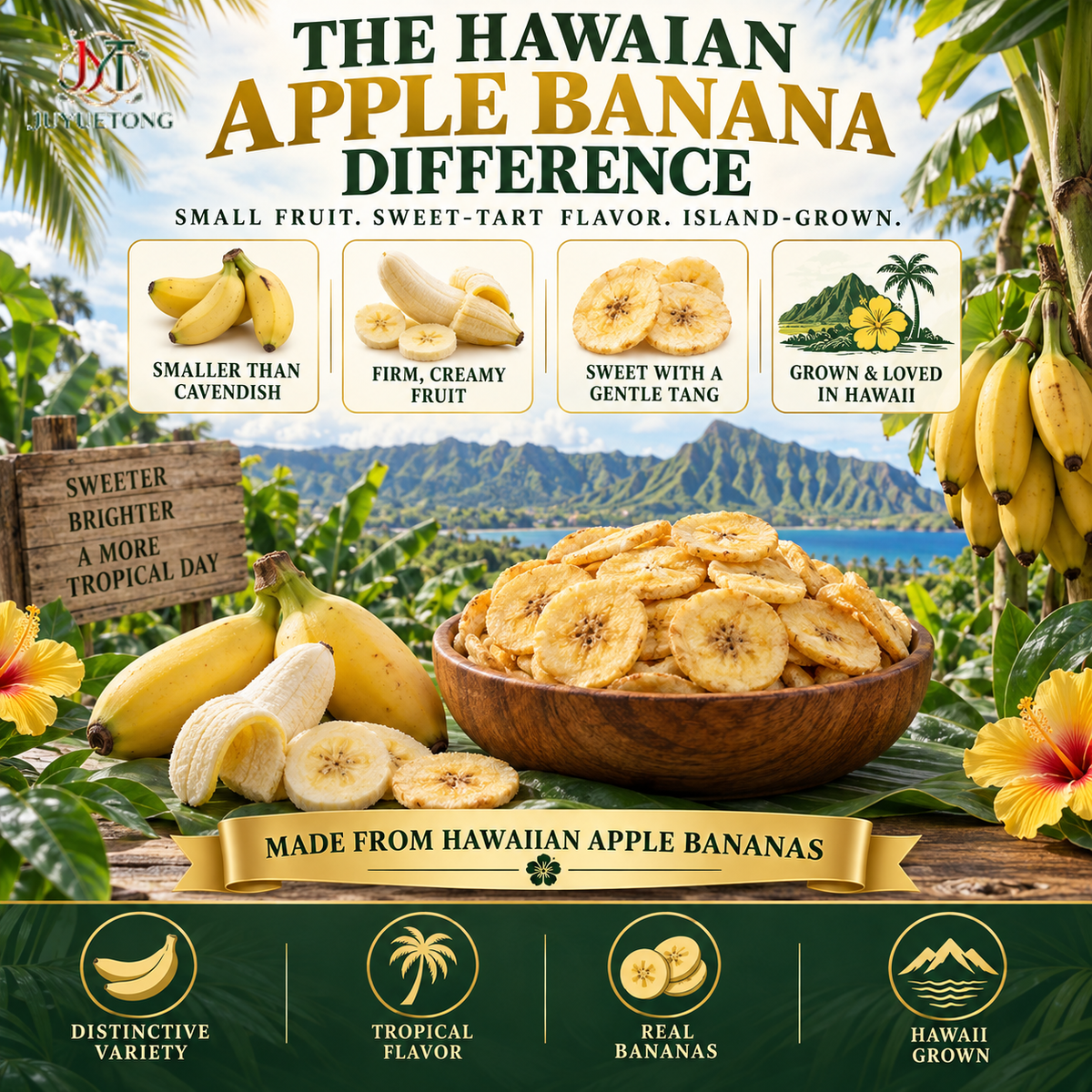 🔥 Premium Hawaiian Apple Banana Chips — Golden Island Crunch-Jasper