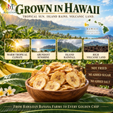 Hawaiian banana farm