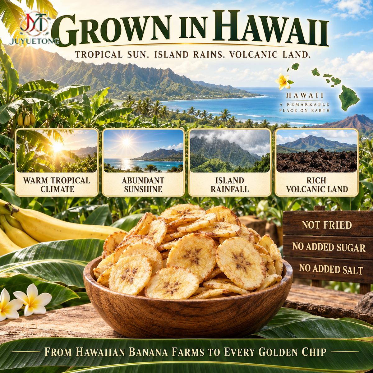 Hawaiian banana farm and island origin