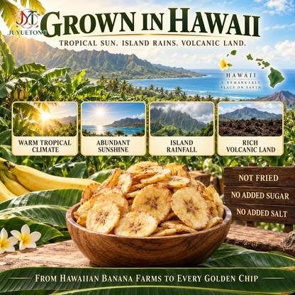 🔥 Premium Hawaiian Apple Banana Chips — Golden Island Crunch-Jasper