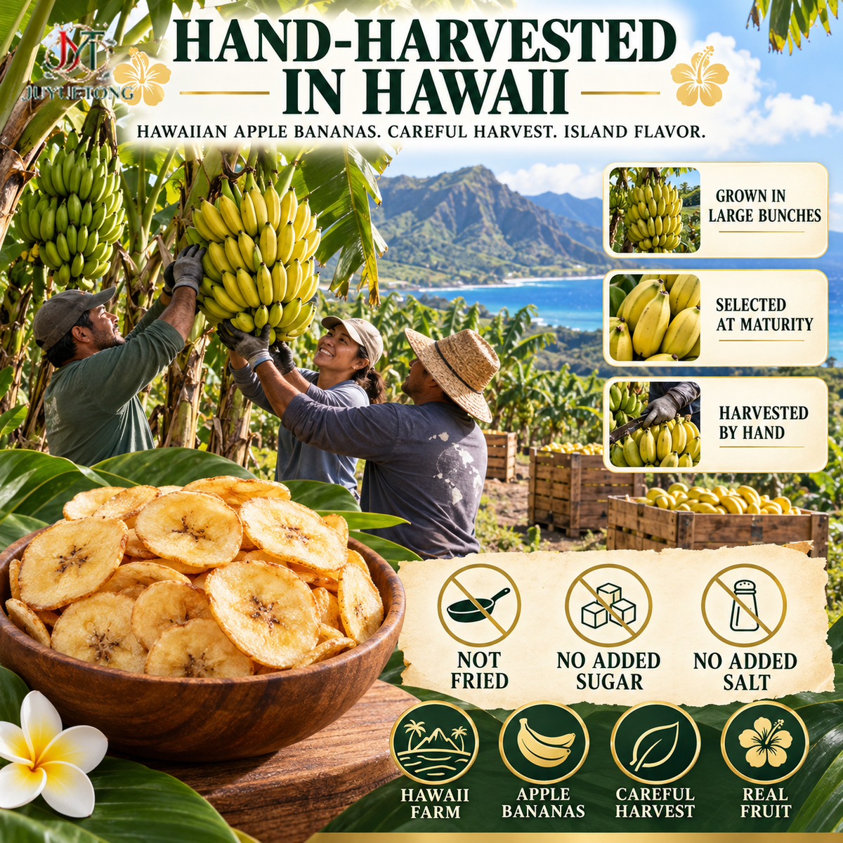 🔥 Premium Hawaiian Apple Banana Chips — Golden Island Crunch-Jasper