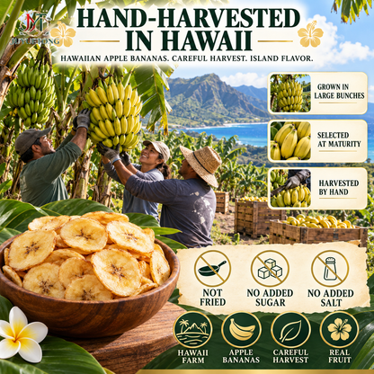🔥 Premium Hawaiian Apple Banana Chips — Golden Island Crunch-Jasper