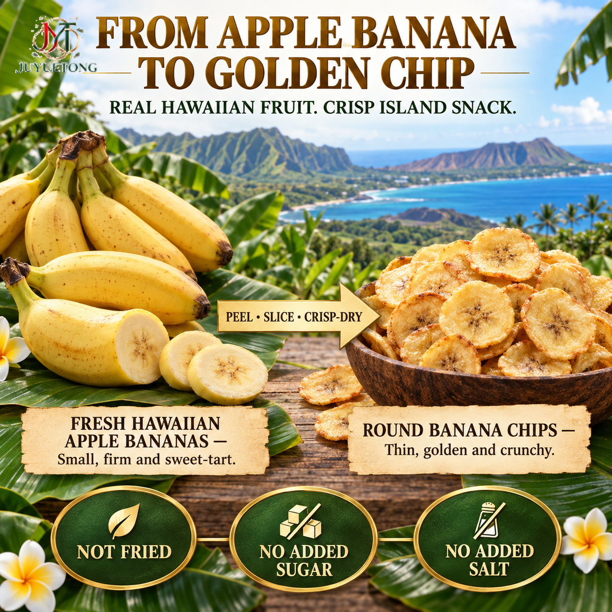🔥 Premium Hawaiian Apple Banana Chips — Golden Island Crunch-Jasper